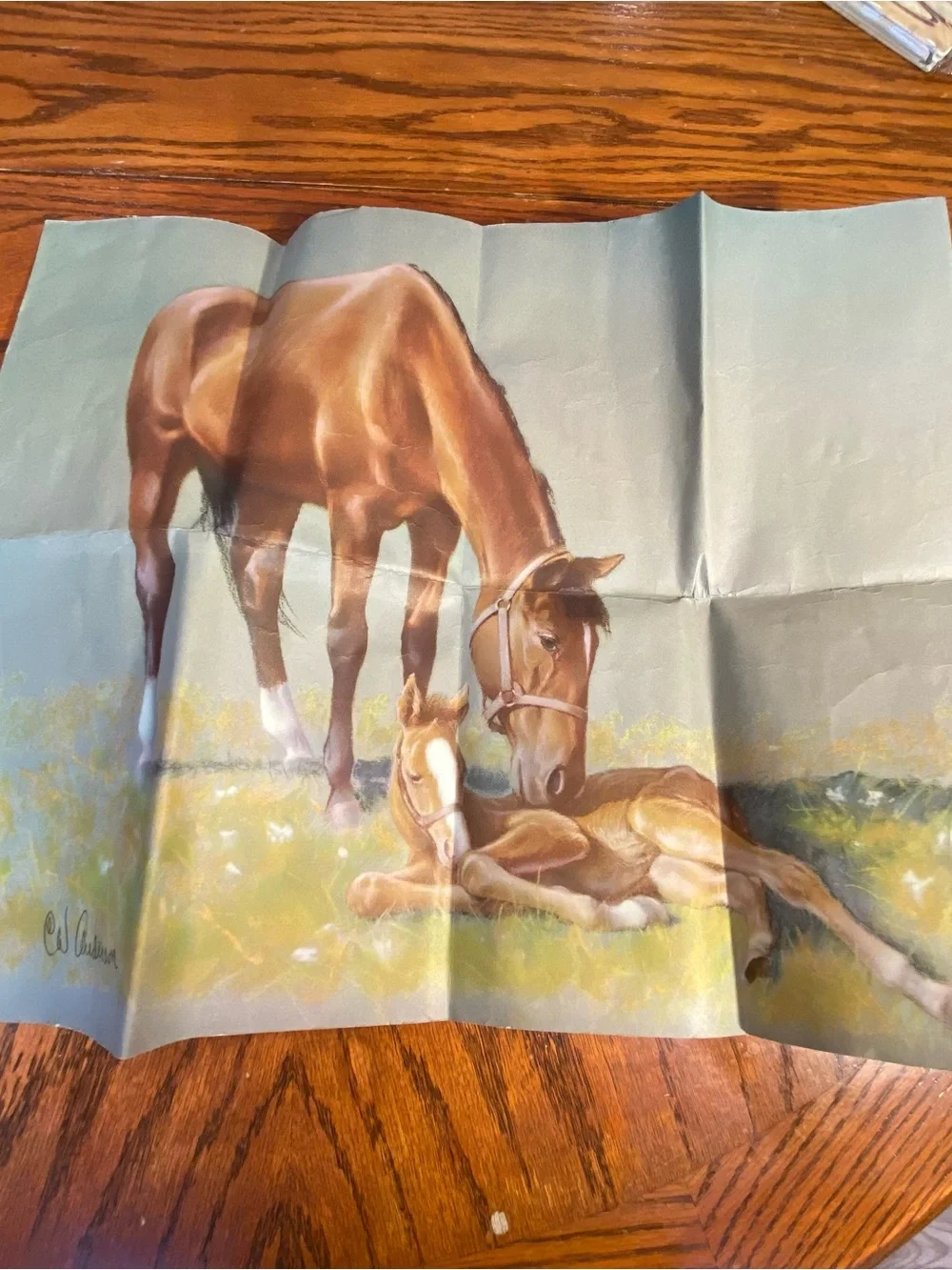 Old Book- Lone Cowboy by Will James also includes a lithograph by CW Anderson